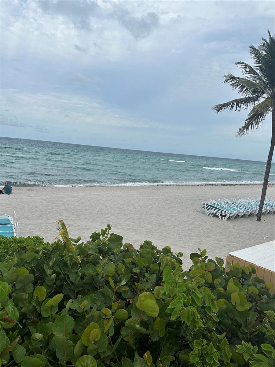 A view of a sandy beach with lounge chairs and a palm tree under a cloudy sky — 2501 S Ocean Dr # 1228, Hollywood FL 33019, HOLLYWOOD, FL
