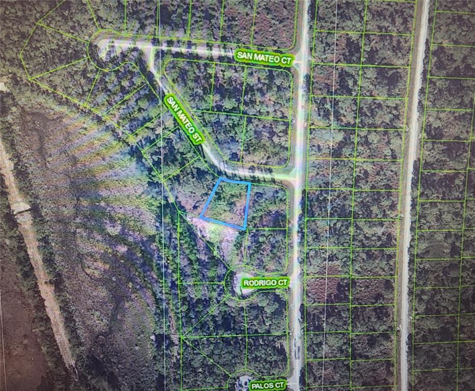 This is an aerial map showing a highlighted vacant lot located near San Mateo Street — 8674 SAN MATEO STREET, SEBRING, FL