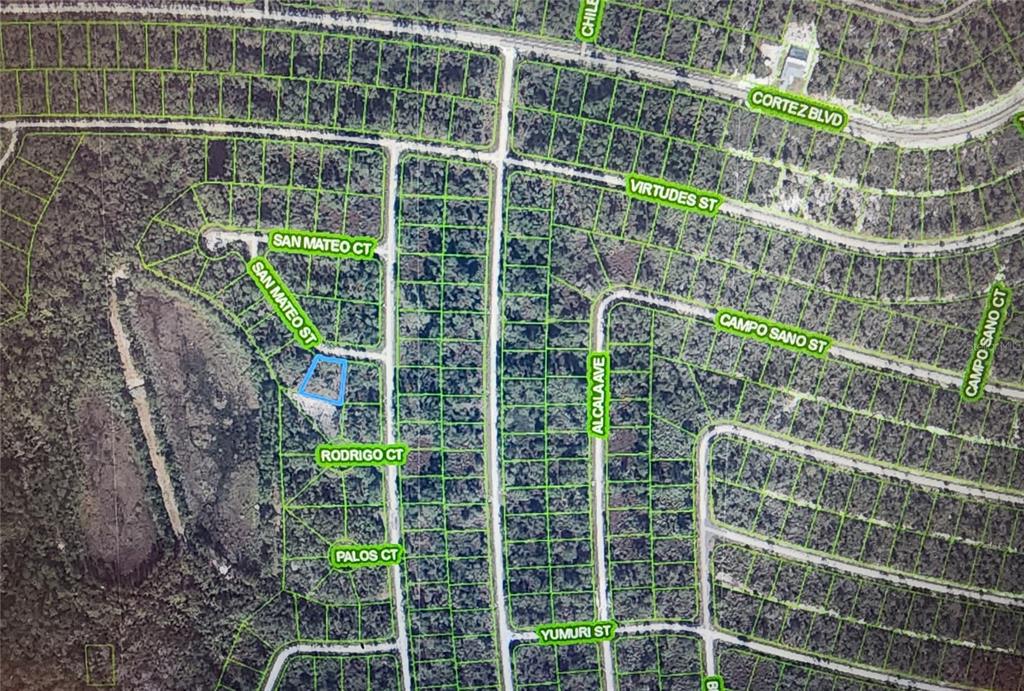 This is an aerial map showing a vacant lot highlighted in blue within a residential subdivision — 8674 SAN MATEO STREET, SEBRING, FL