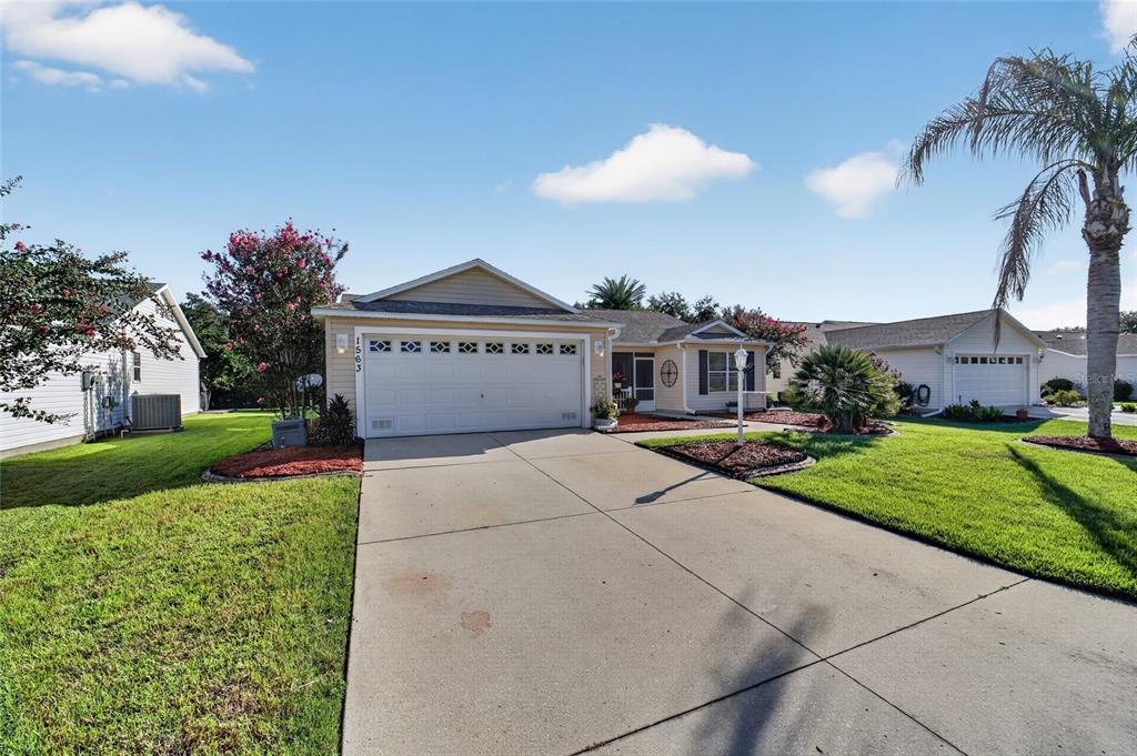 A single-story house with a two-car garage, a concrete driveway, and a palm tree — 1563 HOLLYBERRY PLACE, THE VILLAGES, FL