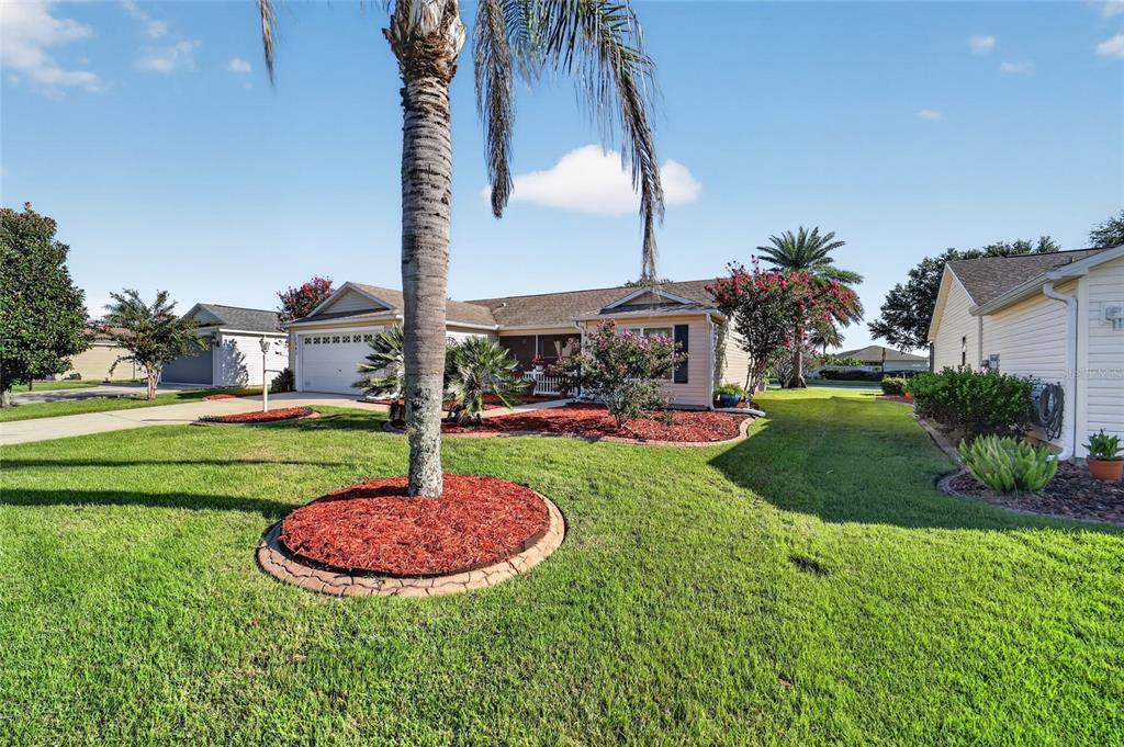 A single-story house with a palm tree in the front yard and red mulch beds — 1563 HOLLYBERRY PLACE, THE VILLAGES, FL