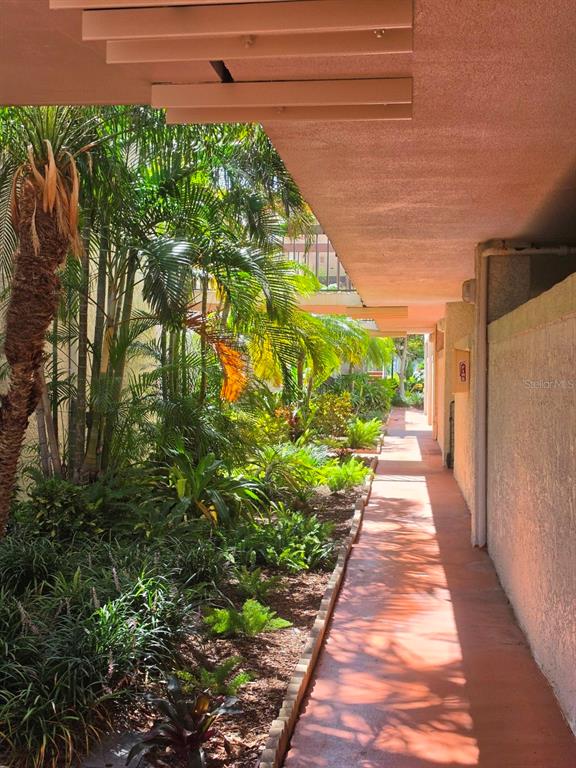 A covered outdoor walkway runs alongside a garden with palm trees and various tropical plants — 6295 BAHIA DEL MAR CIRCLE UNIT 111, ST PETERSBURG, FL