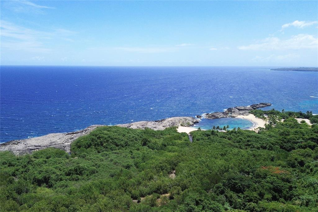An aerial view shows a rocky coastline, a small sandy beach, and dense green forest — 5 LOLITA NATAL UNIT 502, MANATI, PR