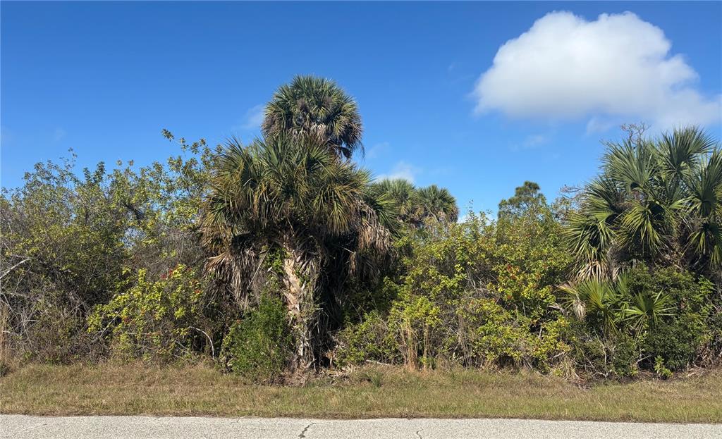 A view of a vacant lot with dense vegetation and several palm trees — 7099 EMBRY STREET, PORT CHARLOTTE, FL