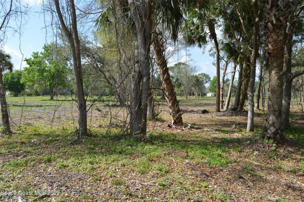 3500 US HIGHWAY 1, MIMS, FL — photo 2 of 7