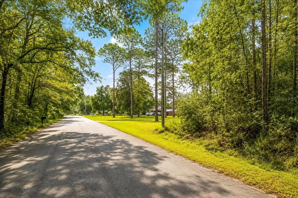 A paved road runs alongside a grassy lot with tall trees under a blue sky — 000 SW 34TH STREET, DUNNELLON, FL