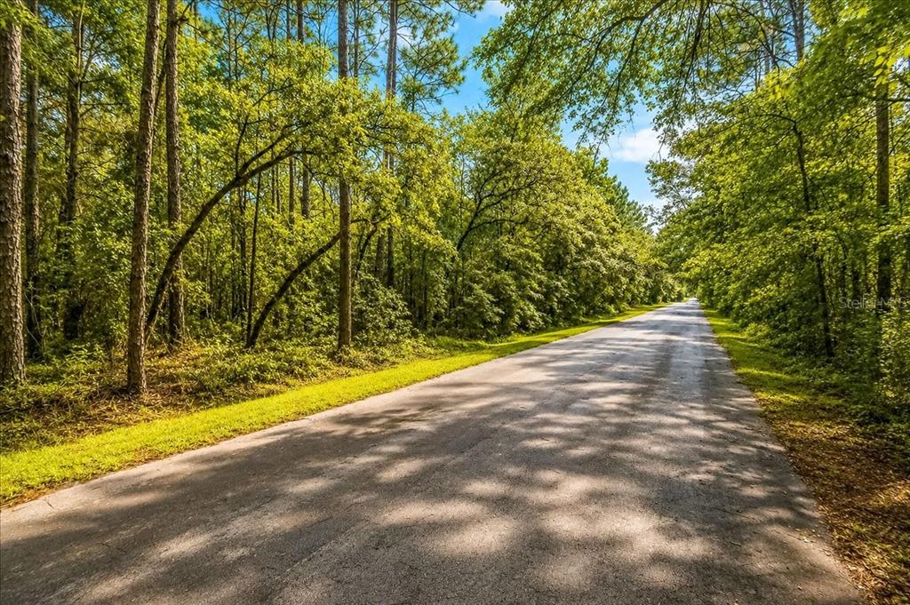 A paved road stretches through a dense, sunlit forest with tall green trees on both sides — 000 SW 34TH STREET, DUNNELLON, FL