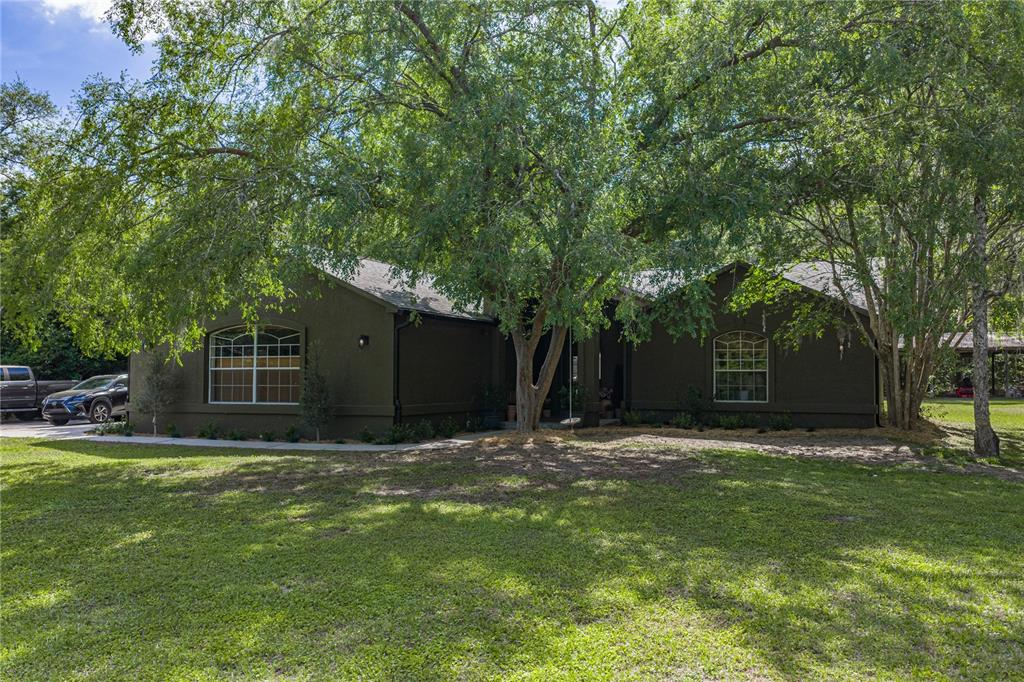 A dark-colored single-story house with arched windows sits behind a large tree on a lawn — 9091 MCINTYRE ROAD, BROOKSVILLE, FL