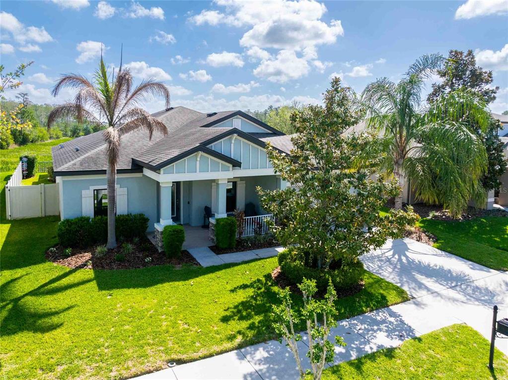 A single-story house with a light blue exterior, a covered front porch, and palm trees — 8306 BLUEVINE SKY DRIVE, LAND O LAKES, FL