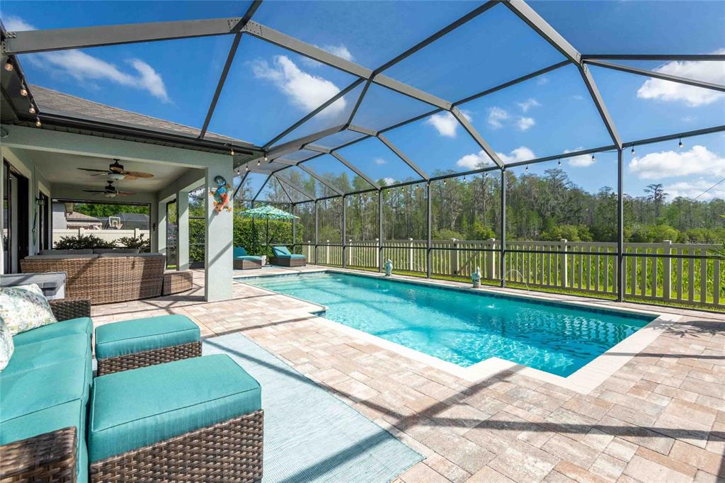 A screened-in patio features a rectangular swimming pool, outdoor furniture, and a view of trees — 8306 BLUEVINE SKY DRIVE, LAND O LAKES, FL