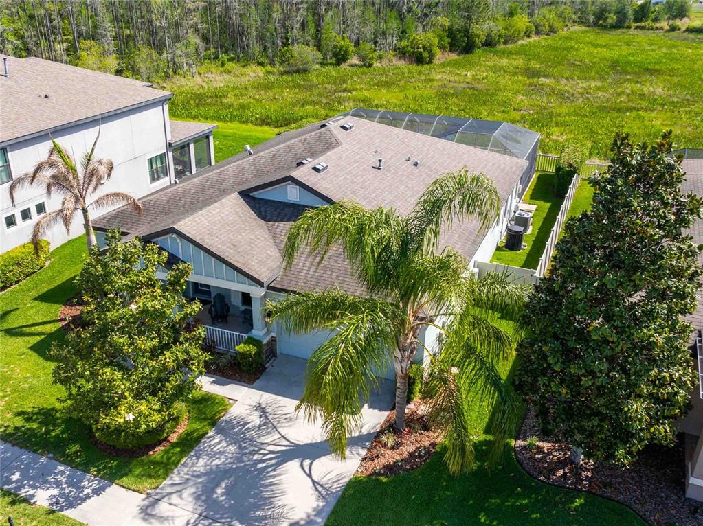 An aerial view of a suburban house with a screened-in pool and a palm tree — 8306 BLUEVINE SKY DRIVE, LAND O LAKES, FL