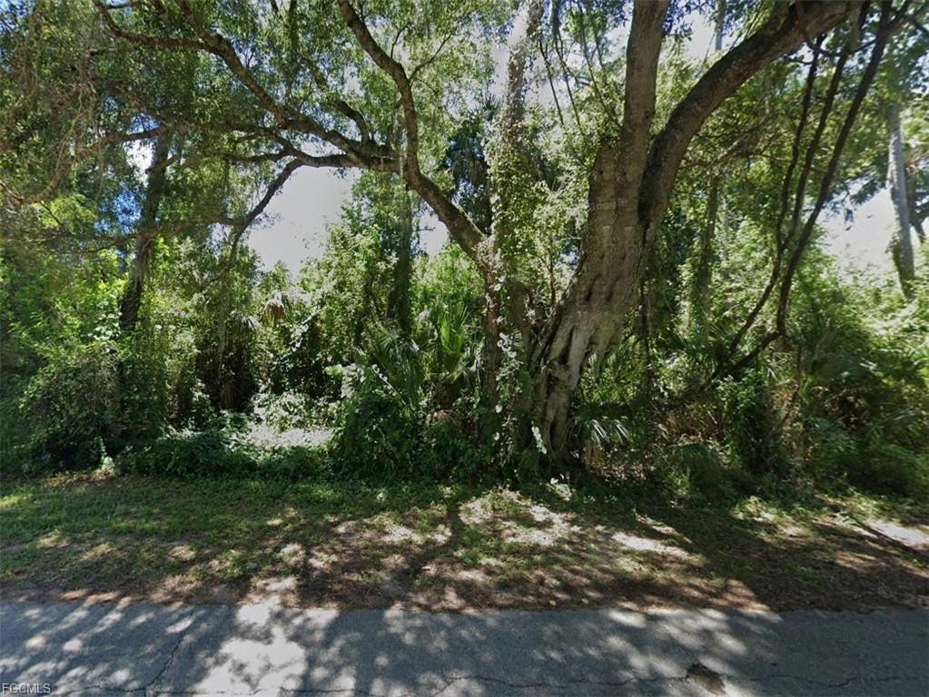 A view of a densely wooded, undeveloped residential lot from the street — 3031 Mockingbird Lane, FL 33935, FL