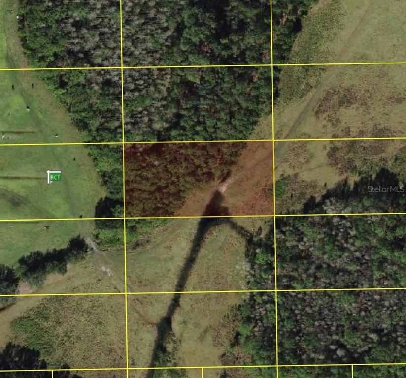 POLK CITY