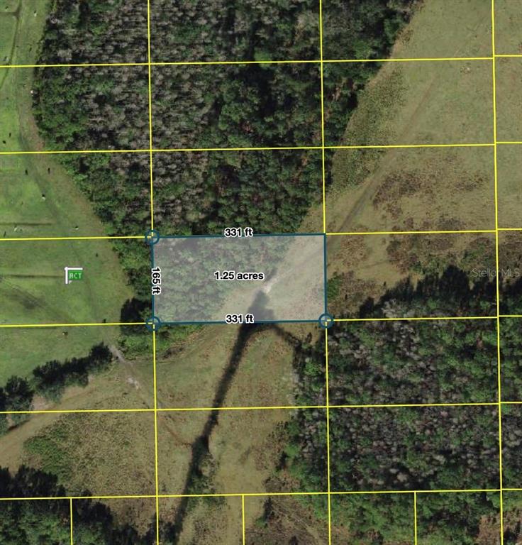 This is an aerial map showing a rectangular 1.25-acre plot of land with dimensions — POLK CITY, POLK CITY, FL