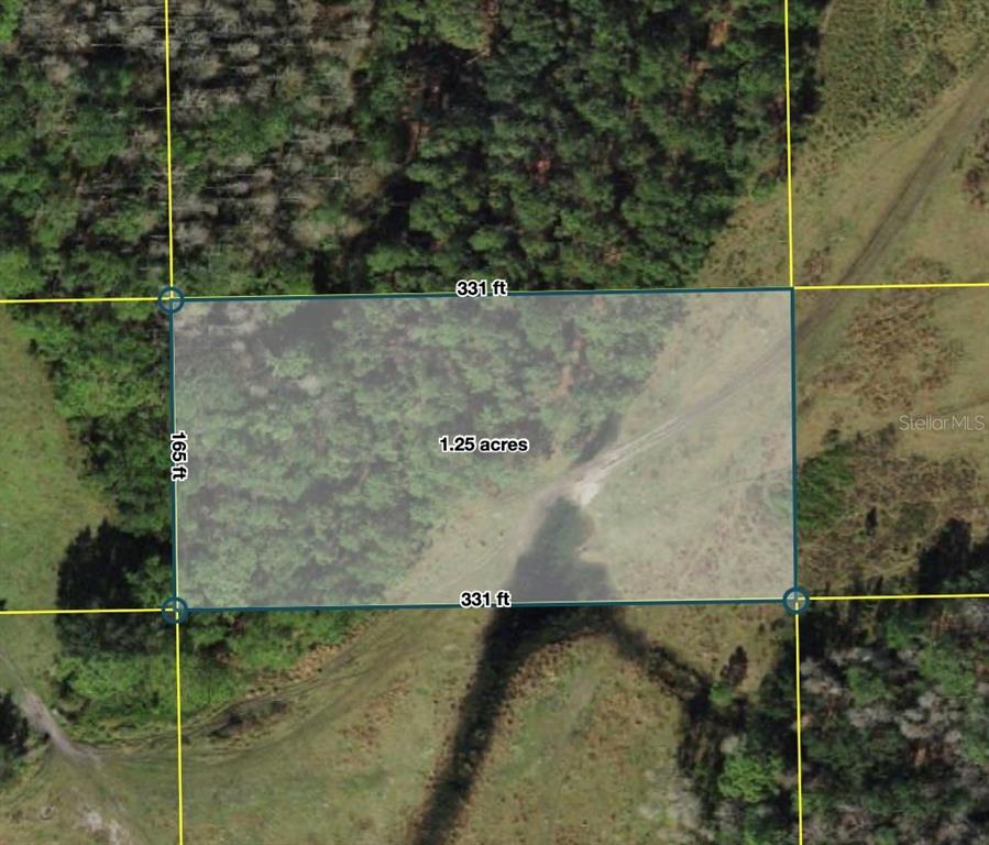 An aerial map shows a rectangular 1.25-acre plot of land with dimensions of 331 by 165 feet — POLK CITY, POLK CITY, FL