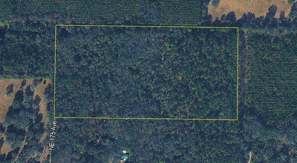 An aerial view shows a rectangular plot of wooded land outlined in yellow — tbd NE 175TH AVENUE, WILLISTON, FL