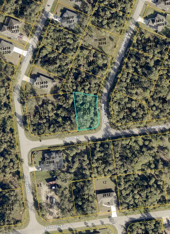 This is an aerial map showing a vacant residential lot highlighted in blue — BLUEBERRY ROAD, NORTH PORT, FL