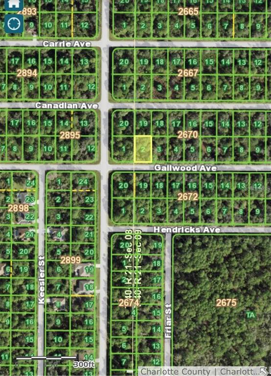 This is a satellite map showing a highlighted vacant residential lot in a wooded area — 14012 GAILWOOD AVE, PORT CHARLOTTE, FL