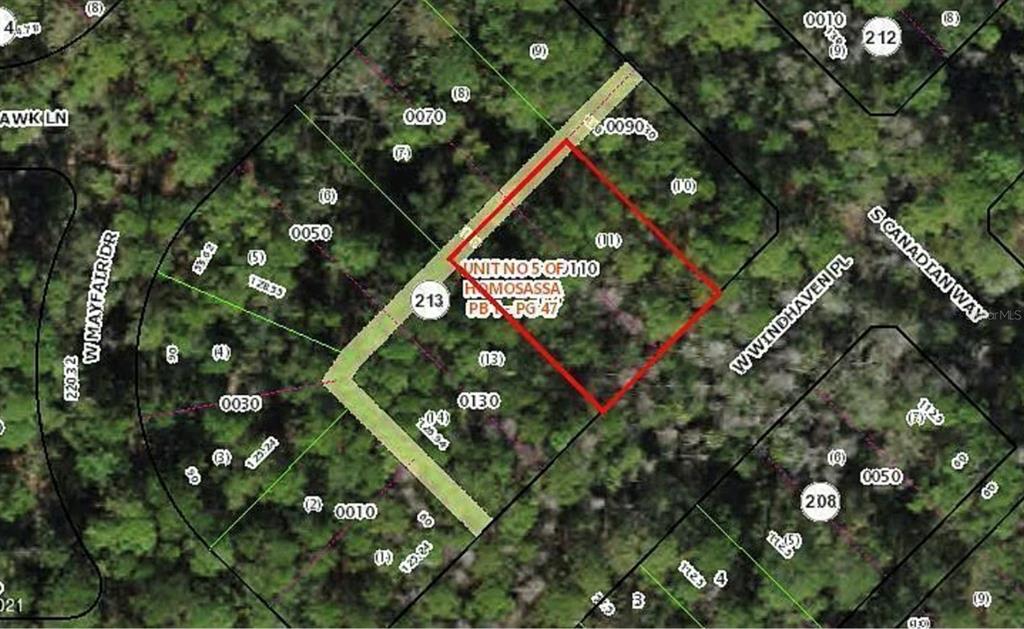 This is a property map showing a highlighted parcel of land surrounded by wooded lots — 8275 W WINDHAVEN PLACE, HOMOSASSA, FL