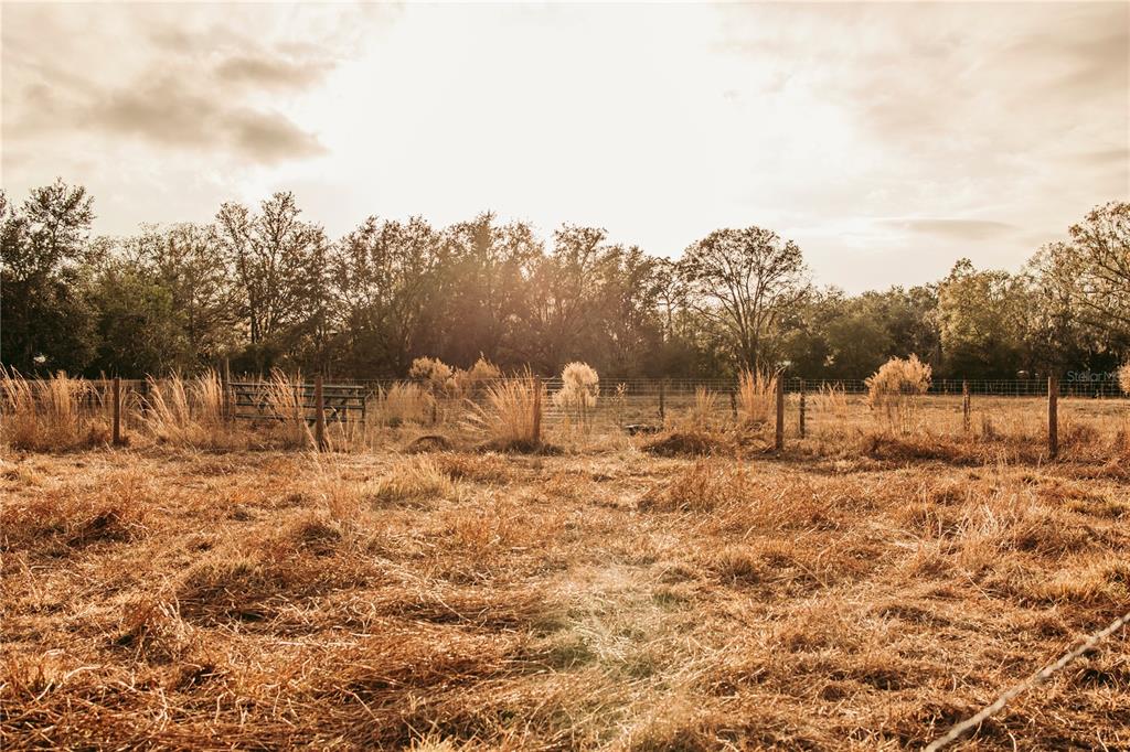 A fenced, dry grassy field sits in front of a line of trees at sunset — 0 N DORMANY ROAD, PLANT CITY, FL