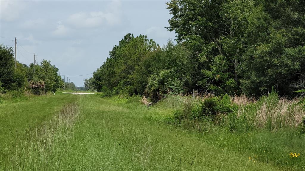 A grassy path leads toward a distant road, flanked by dense trees and utility poles — NW 268TH STREET LOT N, OKEECHOBEE, FL