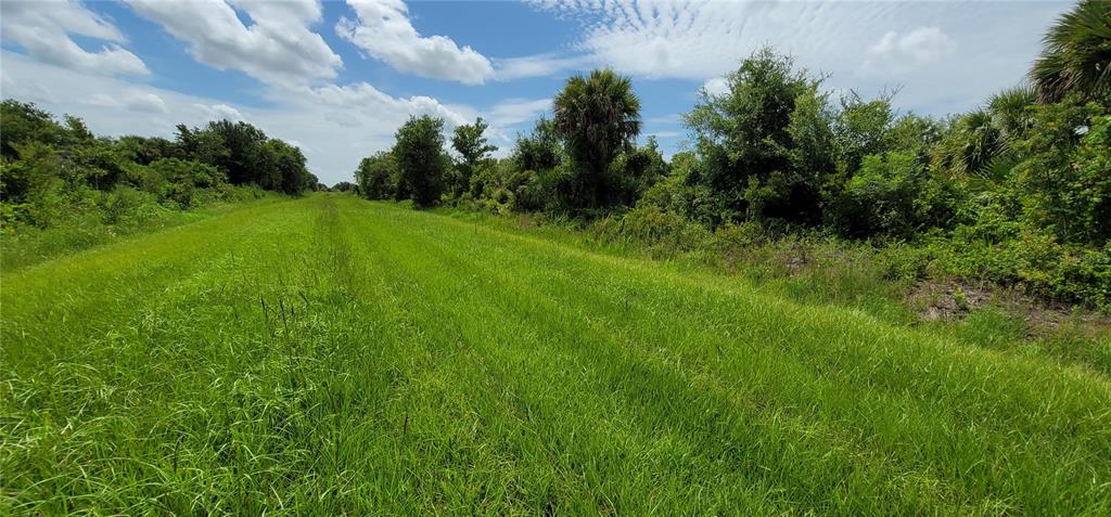 A grassy field leads to a dense cluster of trees and shrubs under a cloudy sky — NW 268TH STREET LOT N, OKEECHOBEE, FL