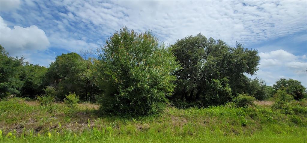 A grassy field stretches toward a line of trees under a partly cloudy sky — NW 268TH STREET LOT N, OKEECHOBEE, FL