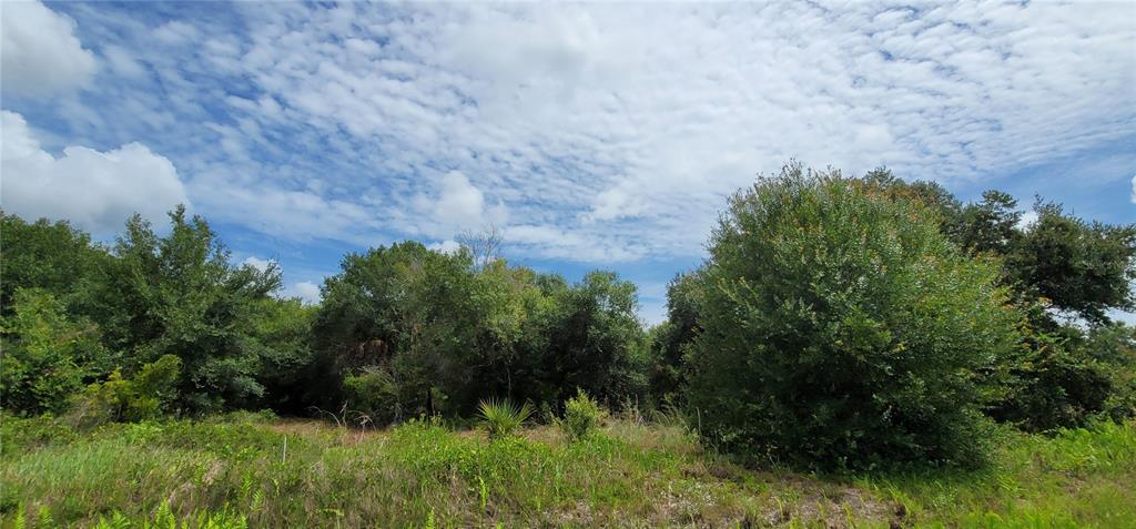 A wide, mowed grassy path leads through a rural landscape with trees and shrubs — NW 268TH STREET LOT N, OKEECHOBEE, FL