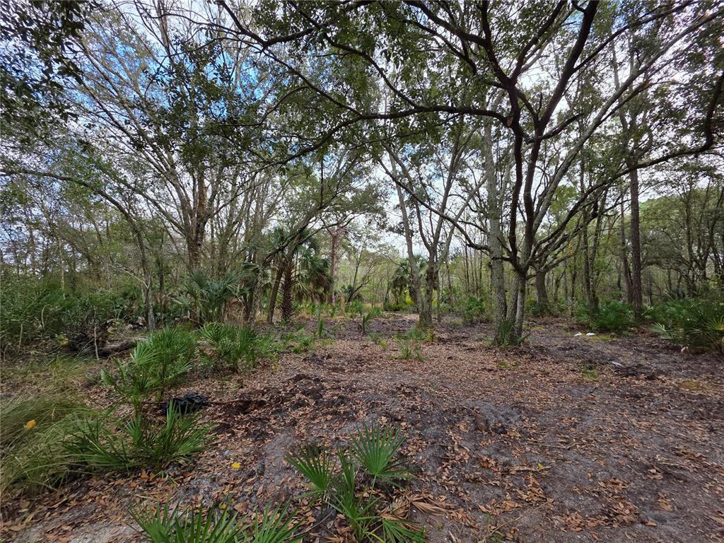 0 STATE ROAD 60 E, LAKE WALES, FL — photo 4 of 8