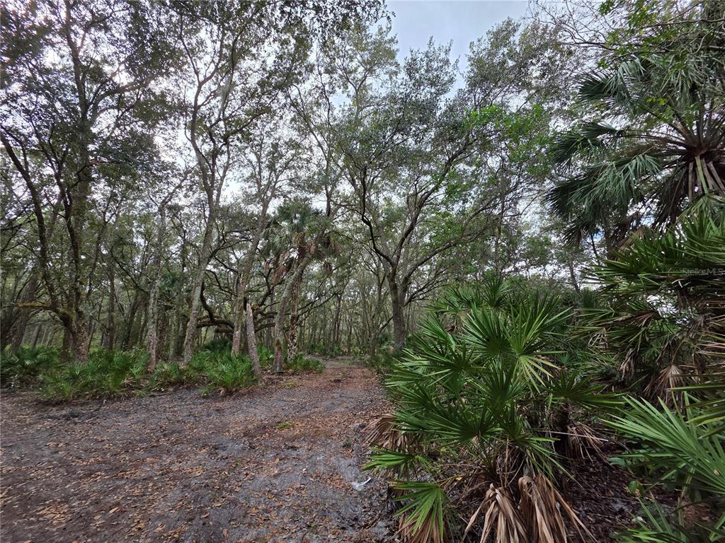 0 STATE ROAD 60 E, LAKE WALES, FL — photo 5 of 8