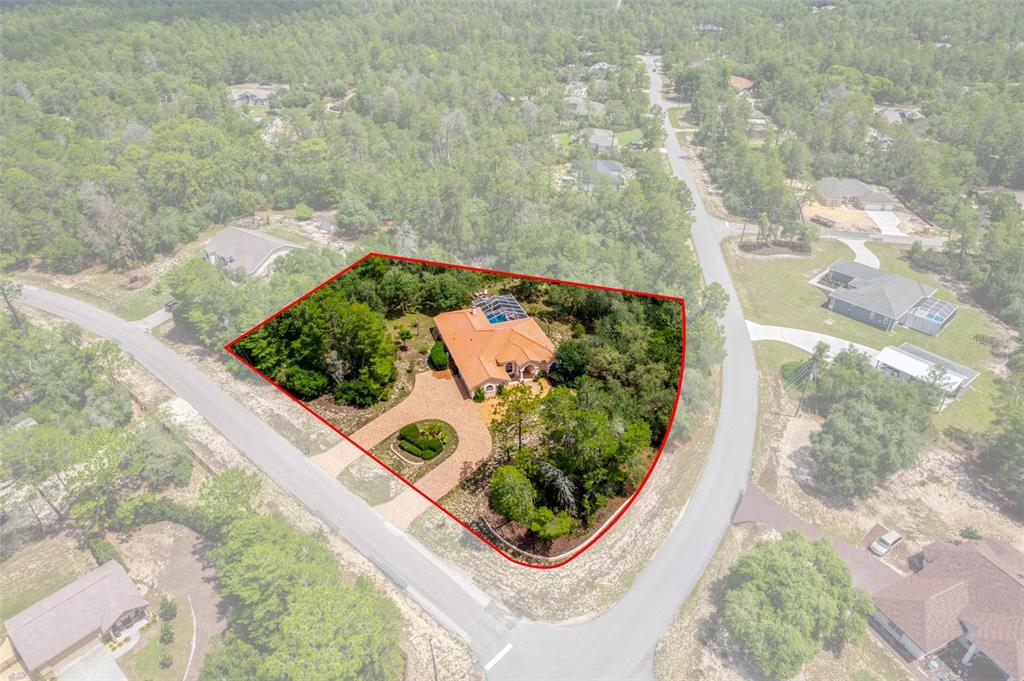 An aerial view shows a house with a pool and circular driveway on a wooded lot — 4525 W ALAMO DRIVE, BEVERLY HILLS, FL
