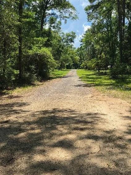 A gravel driveway leads through a wooded area under a blue sky — 6794 STURMER PLACE, TALLAHASSEE, FL