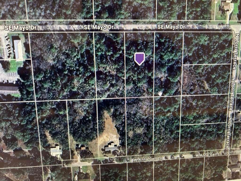 This is an aerial map showing a vacant, wooded residential lot marked with a purple icon — 8400 W MAYO DRIVE, CRYSTAL RIVER, FL