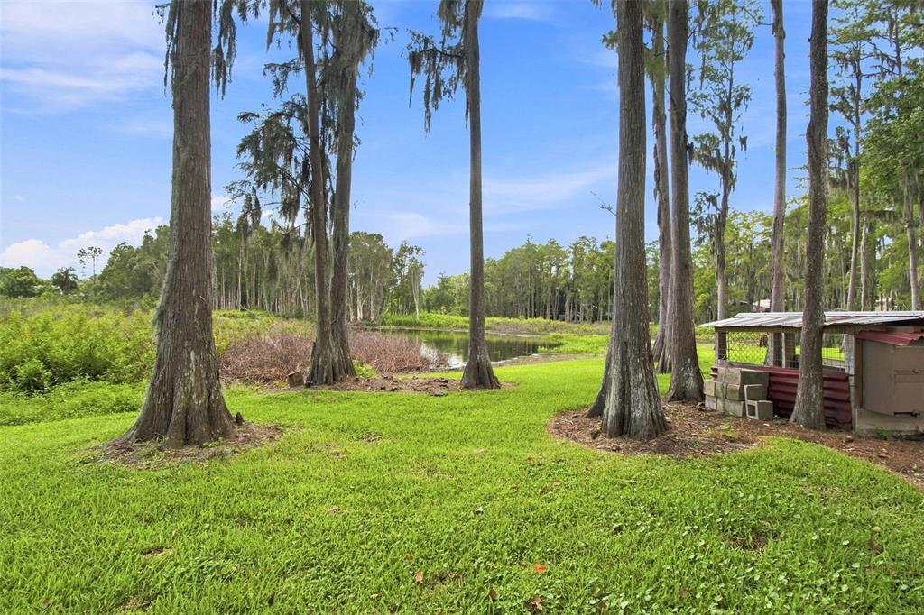 210 LAKE HOBBS ROAD, LUTZ, FL — photo 2 of 30