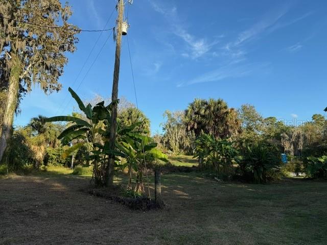 A grassy lot features a utility pole, banana plants, and surrounding trees under a blue sky — 14914 SE 56TH AVENUE, SUMMERFIELD, FL