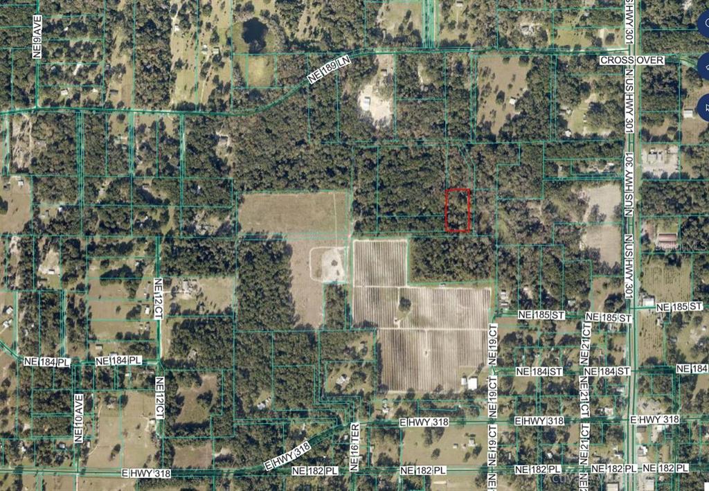 This is an aerial map showing a rectangular property parcel outlined in red — 000 NE 189TH LANE Lot 19, CITRA, FL