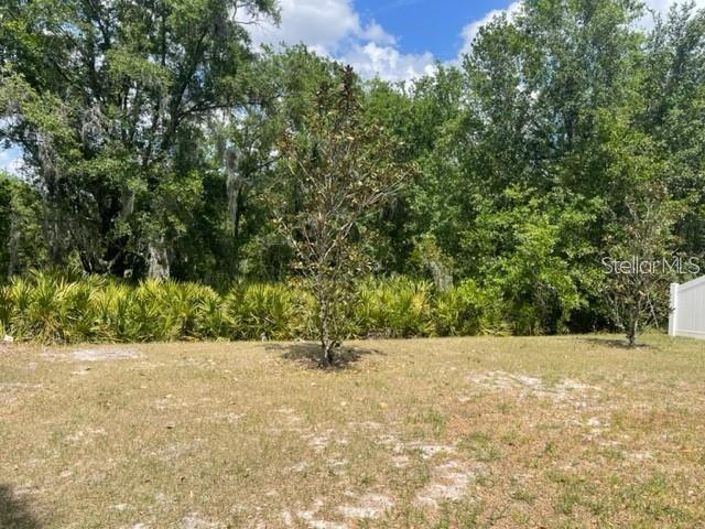 A grassy backyard features a small central tree and dense trees in the background — 833 WILTONWAY DRIVE, PLANT CITY, FL