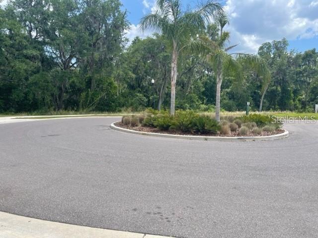 A paved cul-de-sac features a central landscaped island with palm trees and shrubs — 833 WILTONWAY DRIVE, PLANT CITY, FL