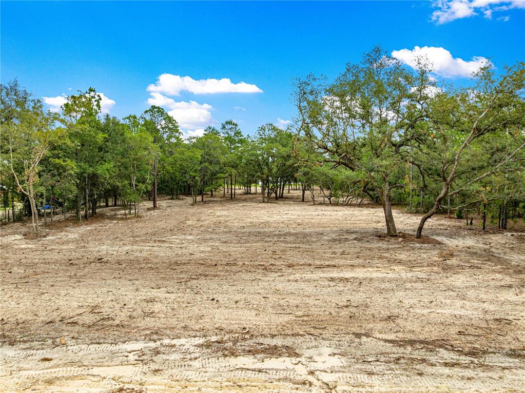 A cleared, sandy lot with scattered trees under a bright blue sky — TBD SW 125 TERRACE, DUNNELLON, FL