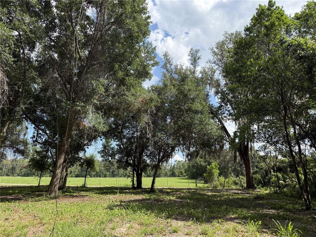 A grassy lot with mature trees overlooks a large, open field under a cloudy sky — 620 COCHRAN ROAD, GENEVA, FL