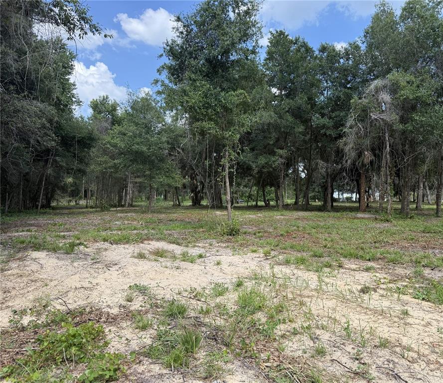 A flat, sandy lot with sparse grass and a dense line of trees in the background — 620 COCHRAN ROAD, GENEVA, FL
