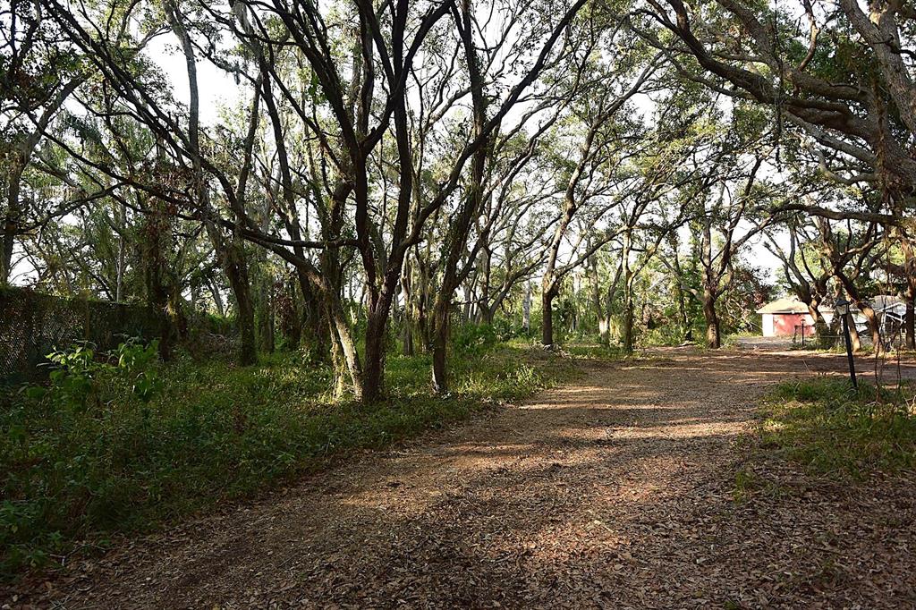 A dirt path winds through a wooded area with mature trees toward a small red building — 7610 ANNA AVENUE, GIBSONTON, FL