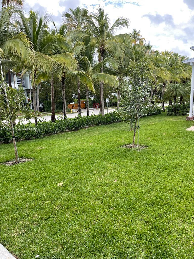 A grassy lawn features young trees and a hedge bordering a paved street with palms — 100 Sunrise Dr # 25, Key Biscayne FL 33149, KEY BISCAYNE, FL