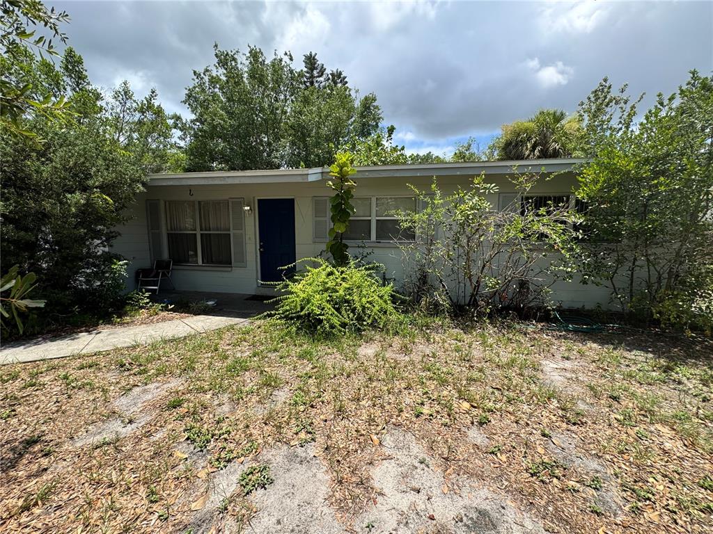 A single-story house with a blue front door, light siding, and overgrown landscaping — 3608 W LEILA AVENUE, TAMPA, FL