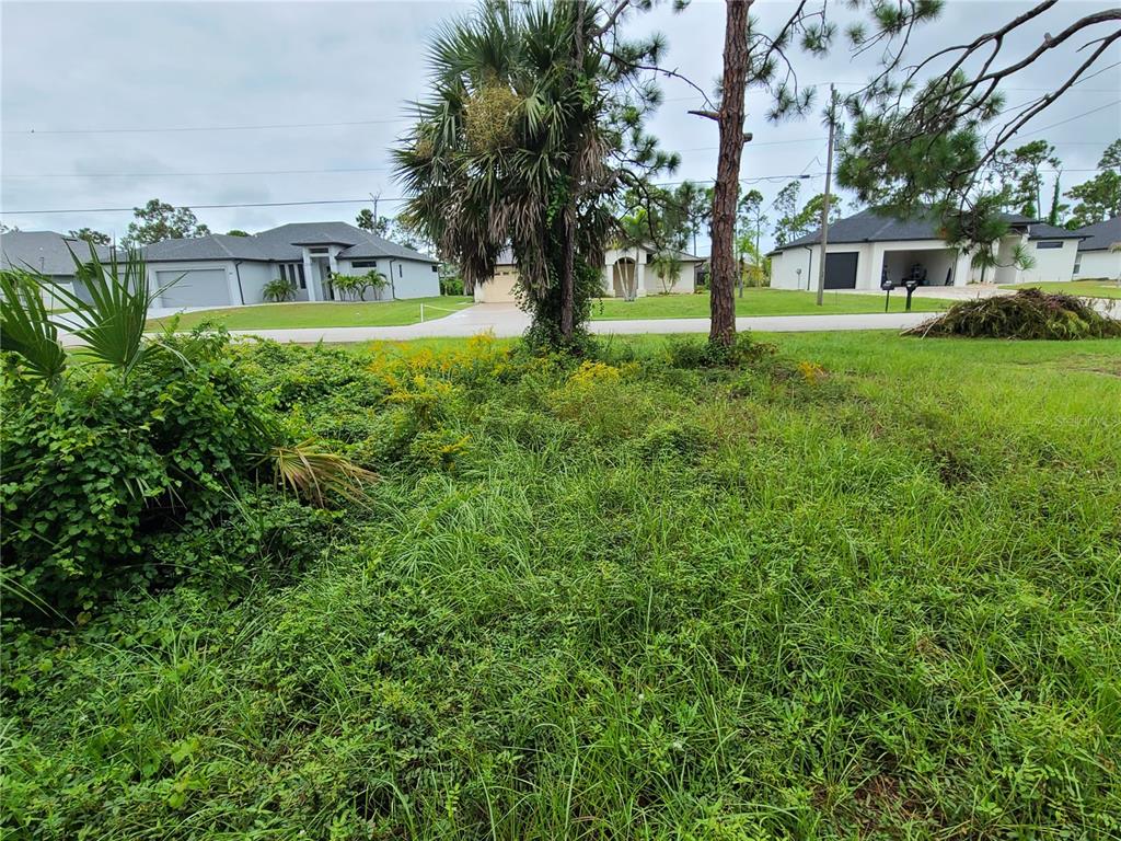A grassy, overgrown vacant lot sits in front of several suburban houses — 254 LONG MEADOW LANE, ROTONDA WEST, FL