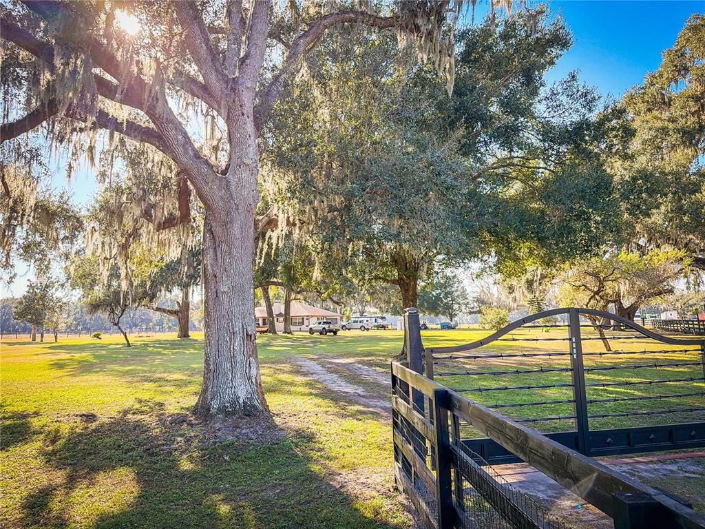 A black metal gate opens to a grassy yard with large trees and a house — 1199 CR 542G, BUSHNELL, FL