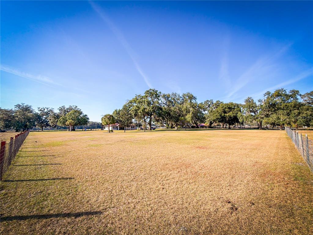 A large, flat, grassy field is enclosed by wire fencing under a clear blue sky — 1199 CR 542G, BUSHNELL, FL