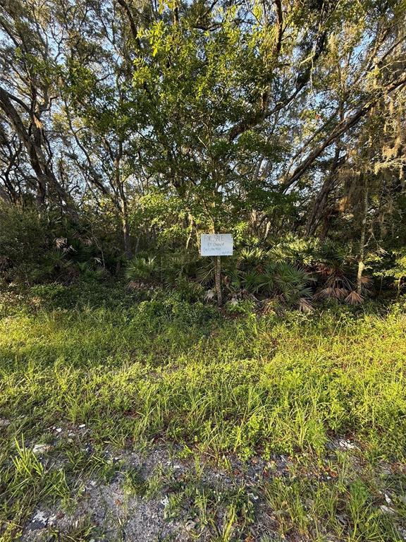 161 WALLACE STREET, INTERLACHEN, FL — photo 3 of 8