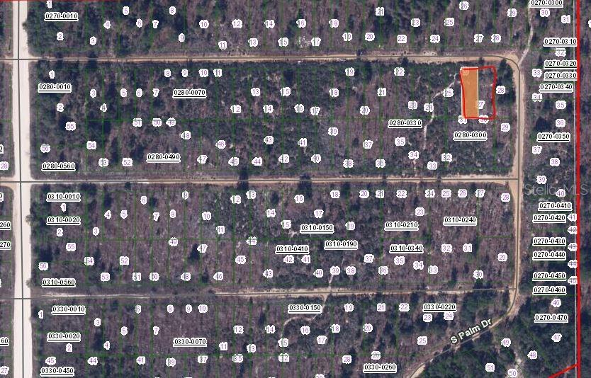 00 CHERRY STREET, INTERLACHEN, FL — photo 2 of 3