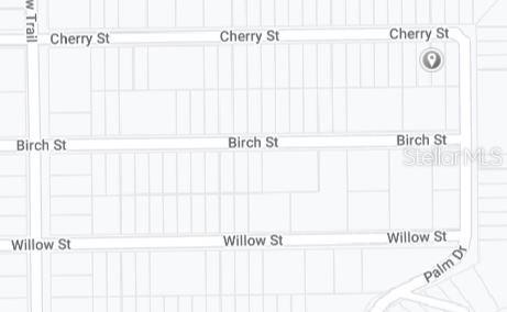 00 CHERRY STREET, INTERLACHEN, FL — photo 3 of 3
